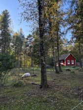Schweden Foto 4.jpg